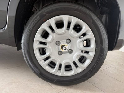 Fiat Pandina 1.0 firefly hybrid s&s 65cv (12)