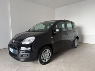 Fiat Pandina 1.0 firefly hybrid s&s 65cv (15)
