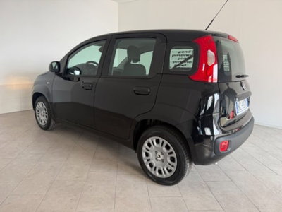 Fiat Pandina 1.0 firefly hybrid s&s 65cv (2)