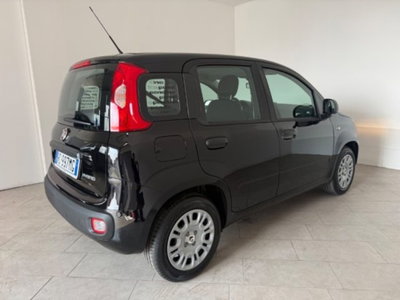 Fiat Pandina 1.0 firefly hybrid s&s 65cv (4)