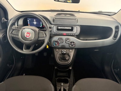 Fiat Pandina 1.0 firefly hybrid s&s 65cv (8)