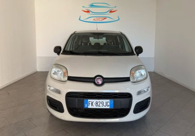 Fiat Panda 1.2 usata