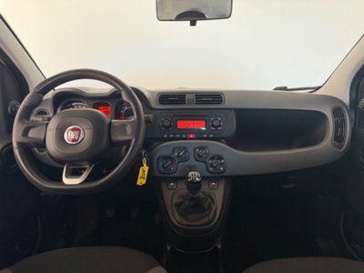Fiat Panda 1.2 (10)