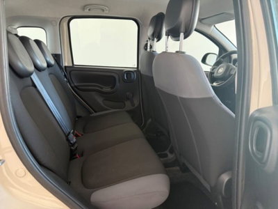 Fiat Panda 1.2 (14)