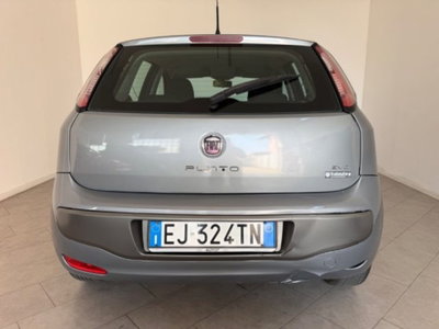Fiat Punto Evo 1.3 Mjt 75 CV 5 porte Active (6)