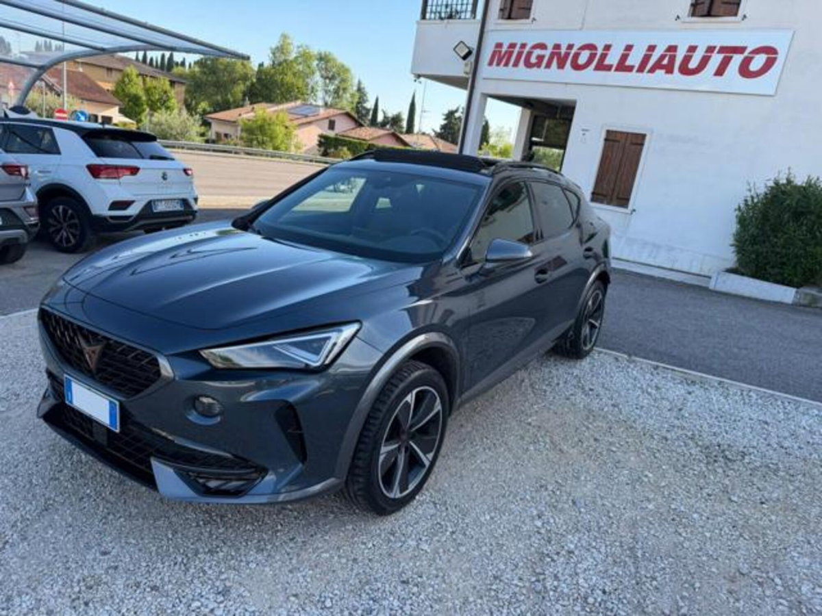 Cupra Formentor Formentor 2.0 tsi 4drive 190cv dsg