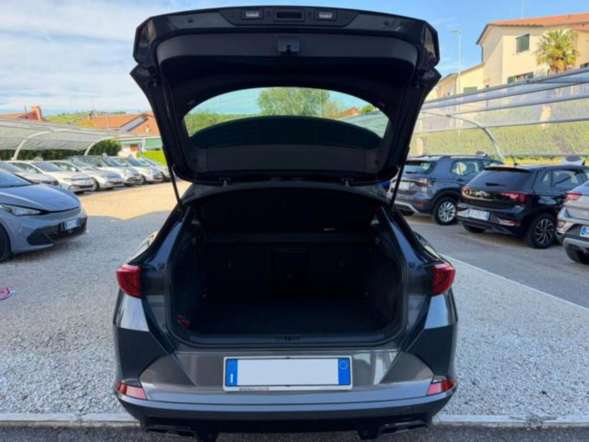 Cupra Formentor Formentor 2.0 tsi 4drive 190cv dsg (14)