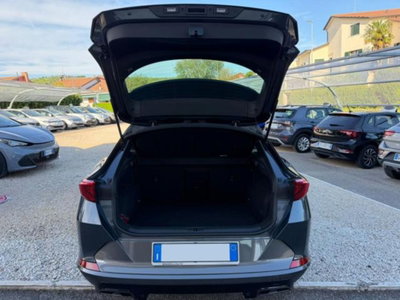 Cupra Formentor Formentor 2.0 tsi 4drive 190cv dsg (14)