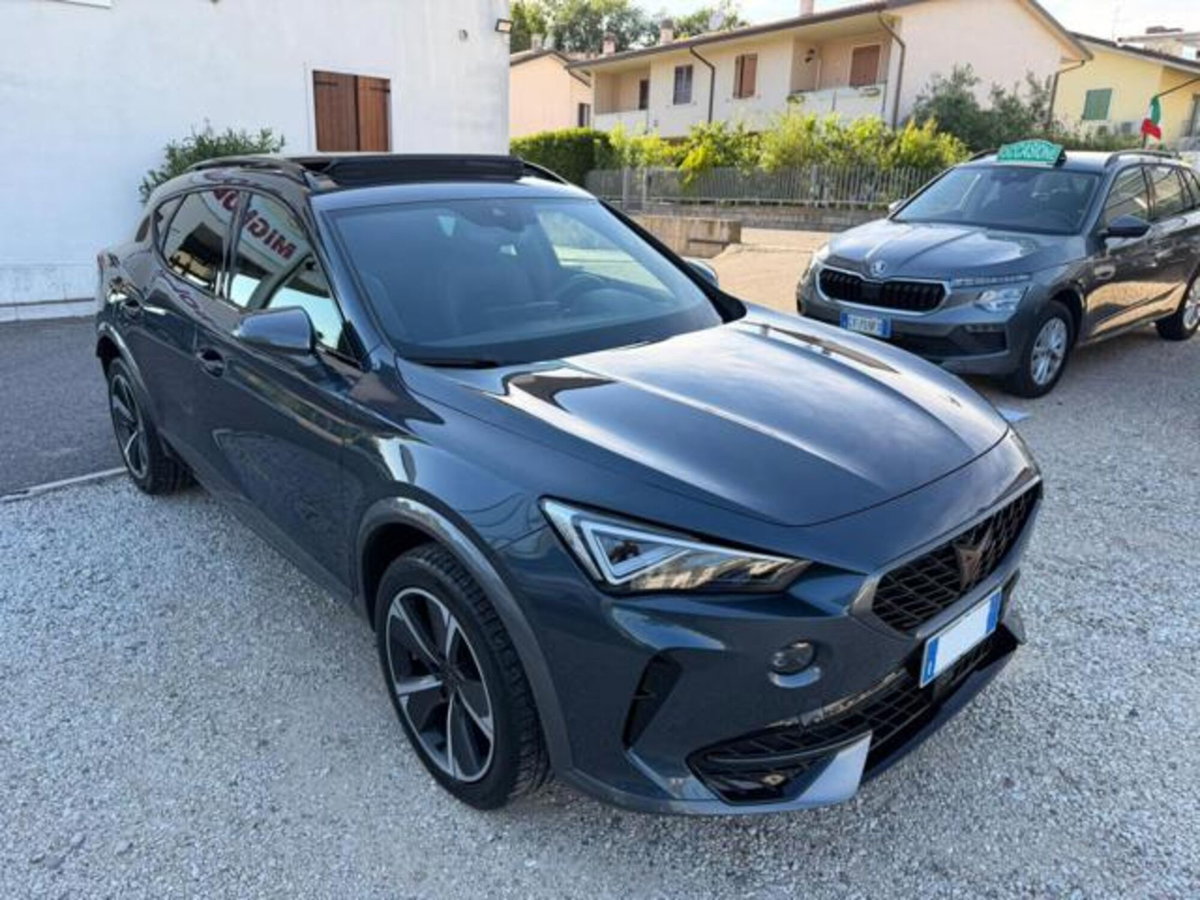 Cupra Formentor Formentor 2.0 tsi 4drive 190cv dsg (2)