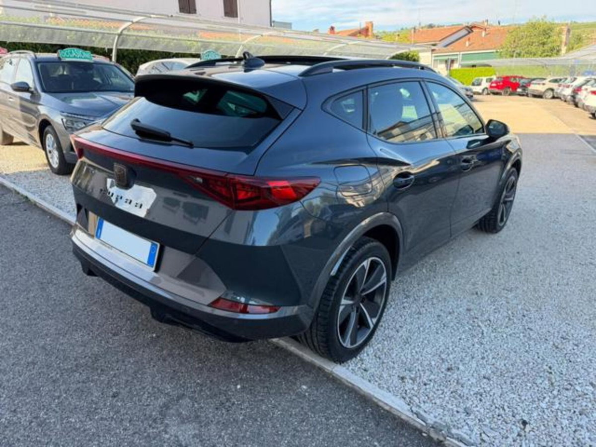 Cupra Formentor Formentor 2.0 tsi 4drive 190cv dsg (3)