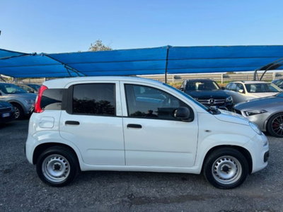 Fiat Panda 1.0 firefly hybrid s&s 70cv 5p.ti (3)