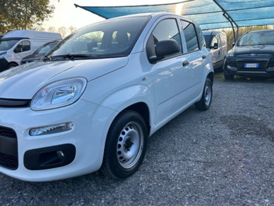 Fiat Panda 1.0 firefly hybrid s&s 70cv 5p.ti (7)