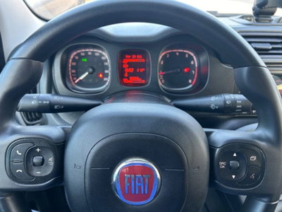 Fiat Panda 1.0 firefly hybrid s&s 70cv 5p.ti (9)