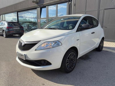 Lancia Ypsilon 1.2 69 CV 5 porte Platinum usata