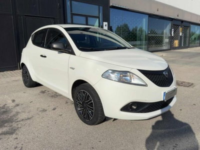 Lancia Ypsilon 1.2 69 CV 5 porte Platinum (3)