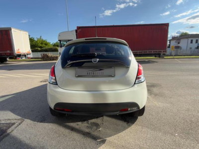 Lancia Ypsilon 1.2 69 CV 5 porte Platinum (6)