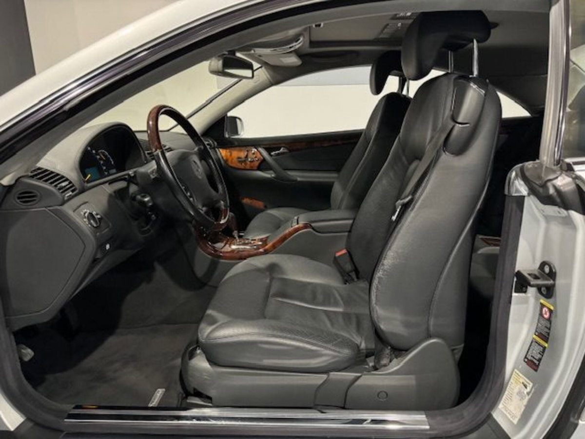 Mercedes-Benz CL 500 cat (13)