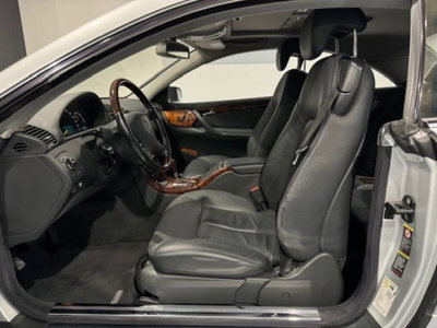 Mercedes-Benz CL 500 cat (13)
