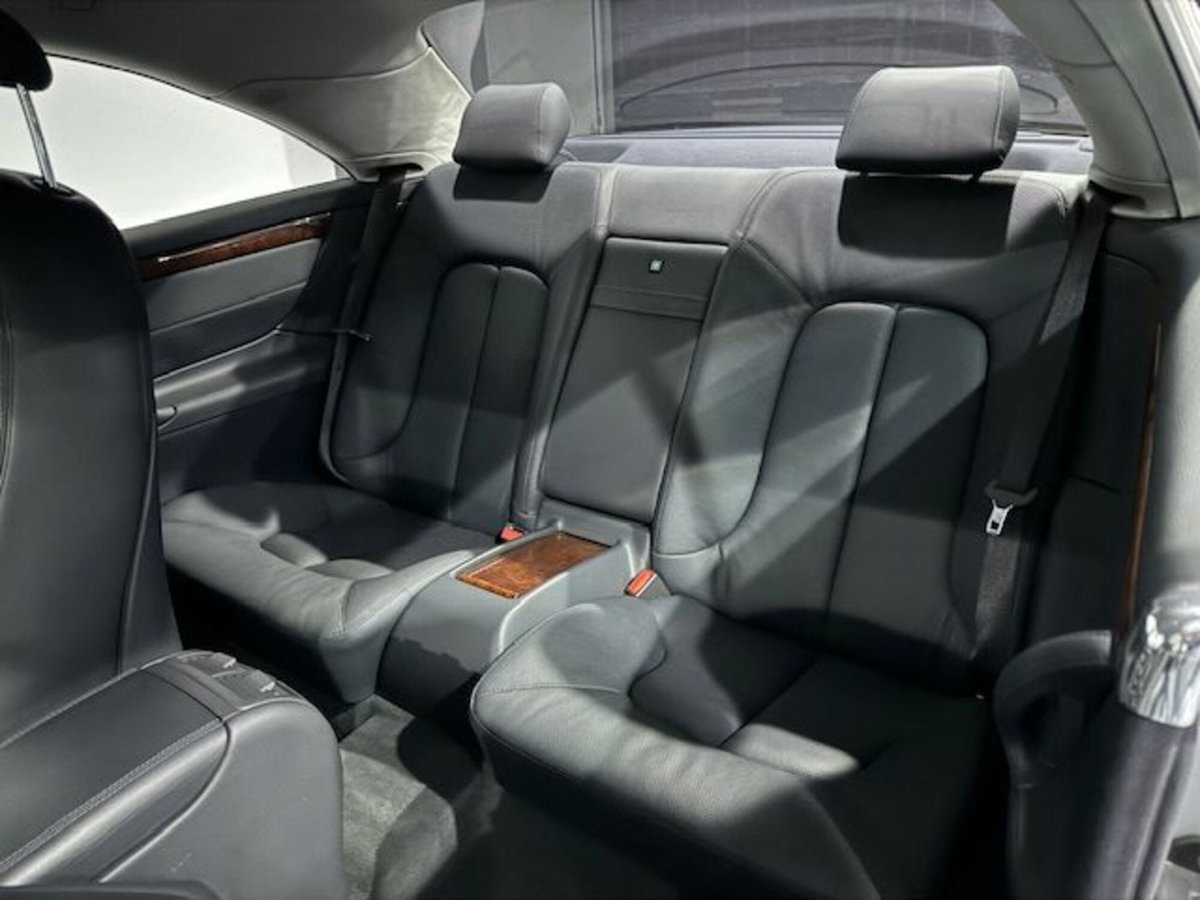 Mercedes-Benz CL 500 cat (14)