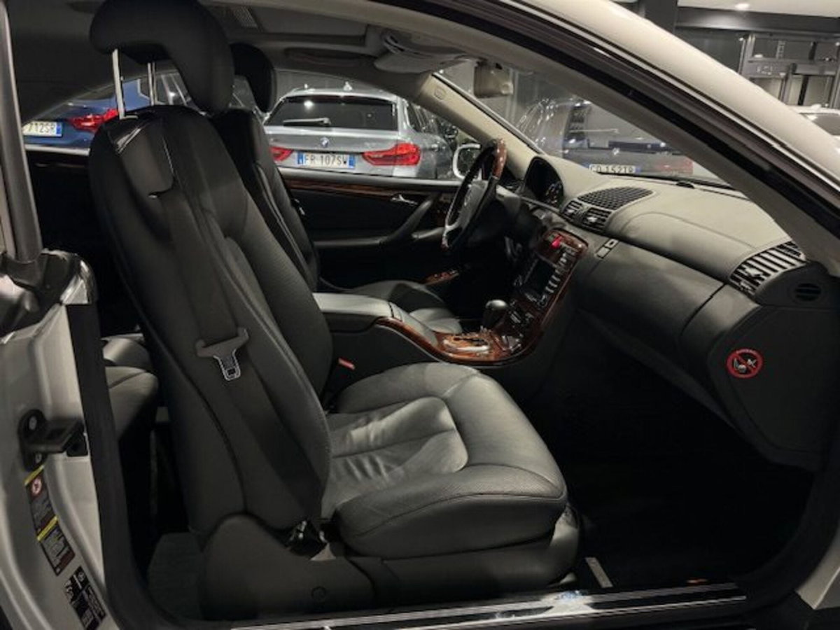 Mercedes-Benz CL 500 cat (16)