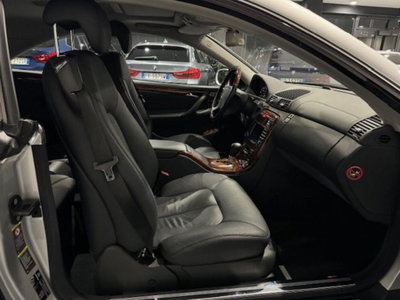 Mercedes-Benz CL 500 cat (16)