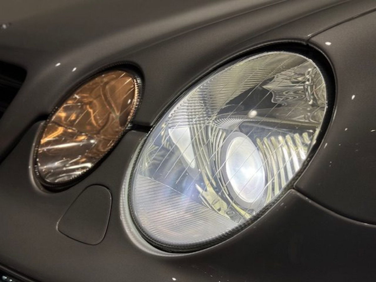 Mercedes-Benz CL 500 cat (20)