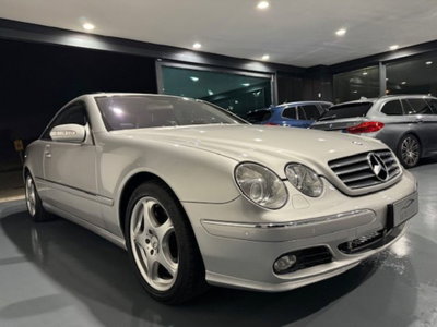Mercedes-Benz CL 500 cat (3)
