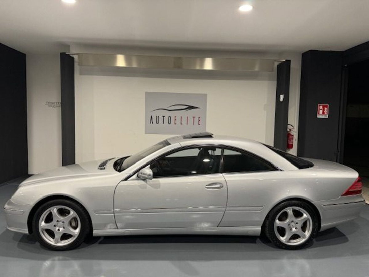 Mercedes-Benz CL 500 cat (4)