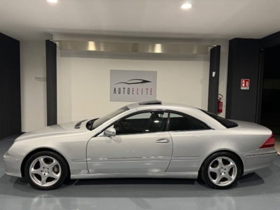 Mercedes-Benz CL 500 cat (4)
