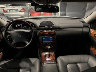 Mercedes-Benz CL 500 cat (8)