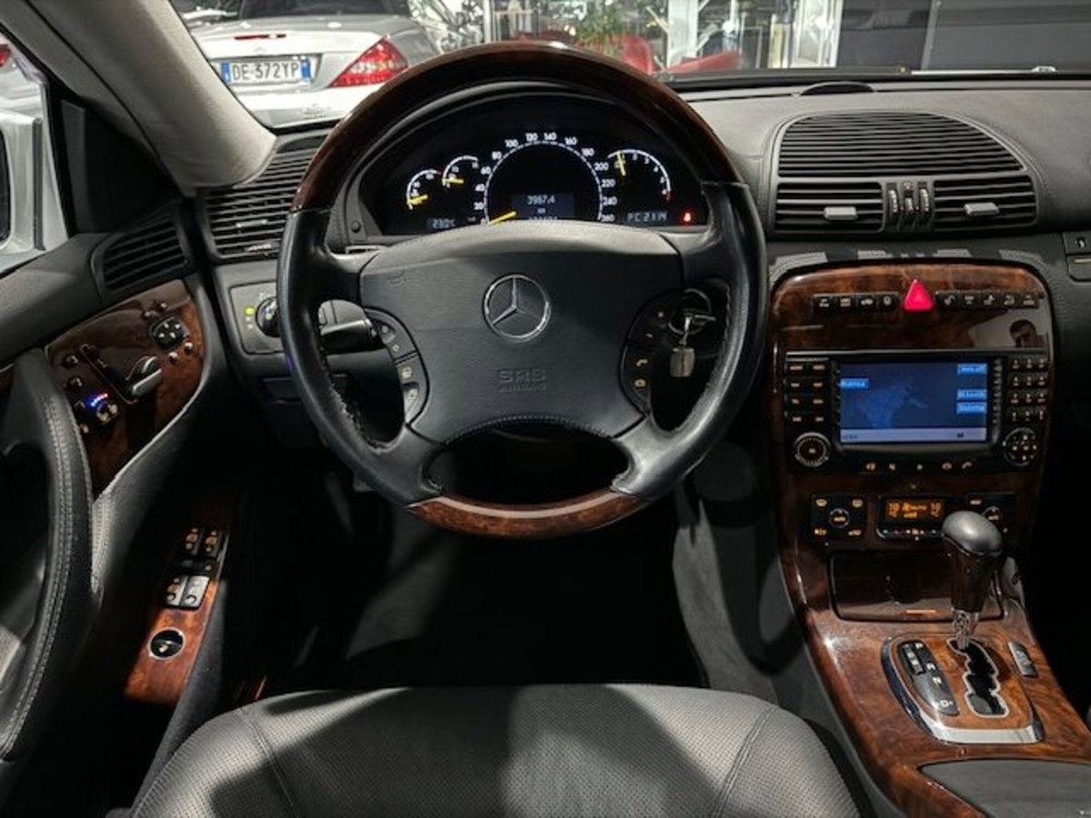 Mercedes-Benz CL 500 cat (9)