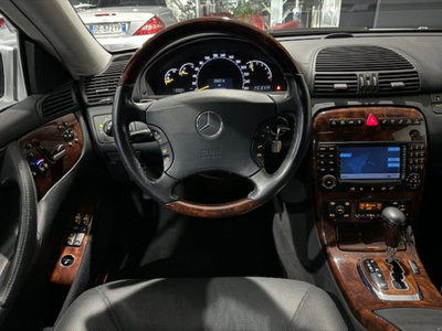 Mercedes-Benz CL 500 cat (9)