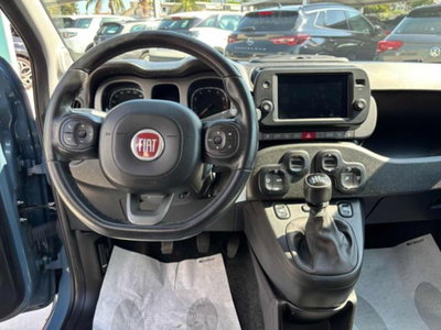 Fiat Panda Cross 1.0 firefly hybrid Cross s&s 70cv 5p.ti (9)