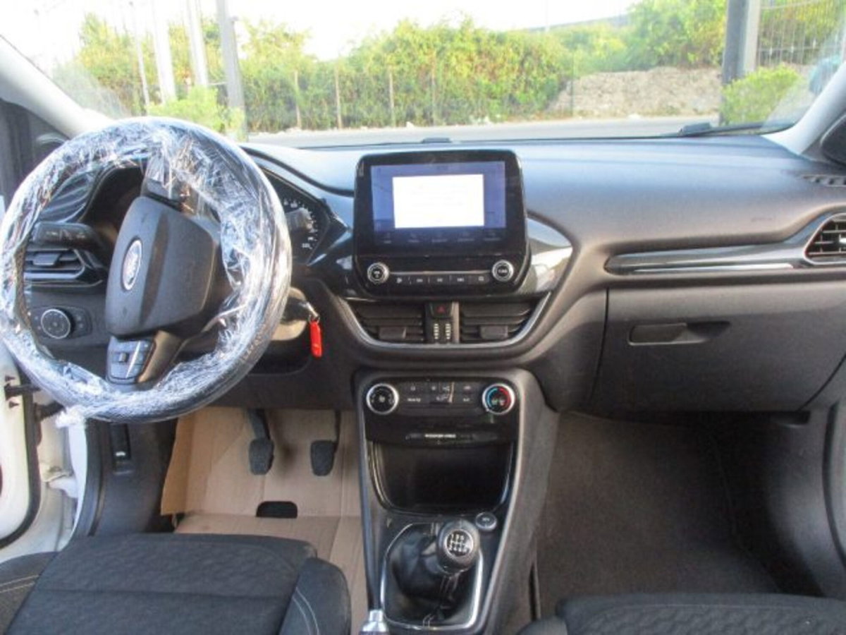Ford Puma 1.0 EcoBoost 125 CV S&S Titanium X (8)