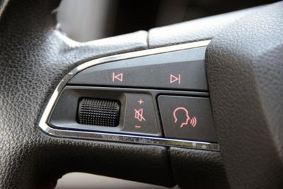 SEAT Ibiza 1.0 TGI 5 porte Style (14)