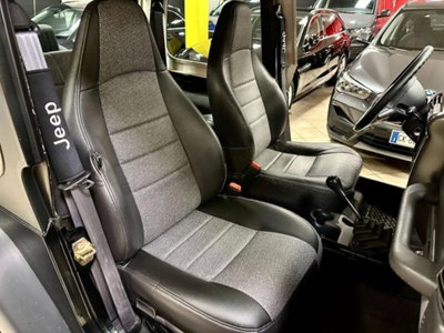 Jeep Wrangler 4.0 cat Hard top (EU) (8)