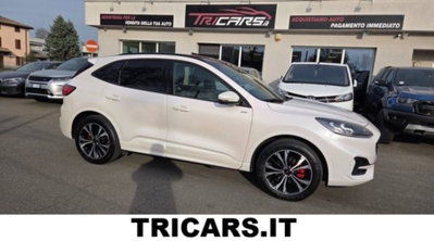 Ford Kuga 2.5 Plug In Hybrid 225 CV CVT 2WD ST-Line usata