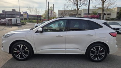 Ford Kuga 2.5 Plug In Hybrid 225 CV CVT 2WD ST-Line (3)