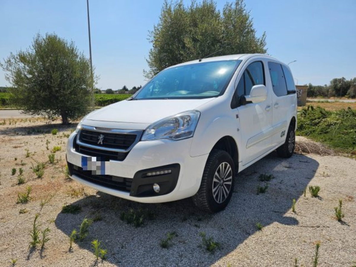 Peugeot Partner BlueHDi 100 4x4 Active Traction Control