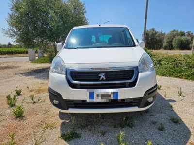 Peugeot Partner BlueHDi 100 4x4 Active Traction Control (2)