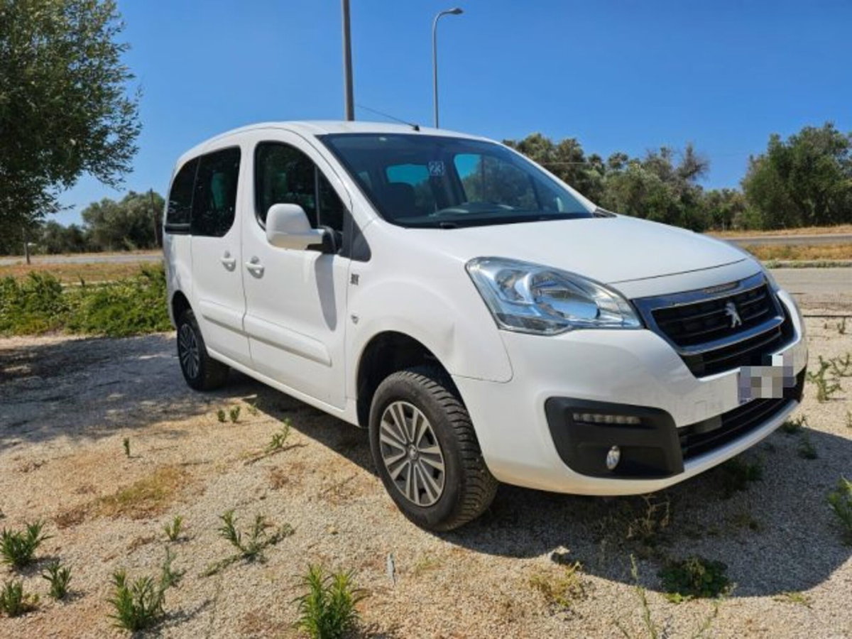 Peugeot Partner BlueHDi 100 4x4 Active Traction Control (3)