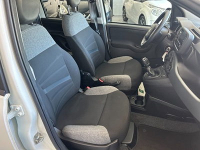 Fiat Panda 1.0 firefly hybrid s&s 70cv 5p.ti (11)