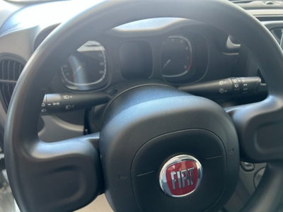 Fiat Panda 1.0 firefly hybrid s&s 70cv 5p.ti (15)