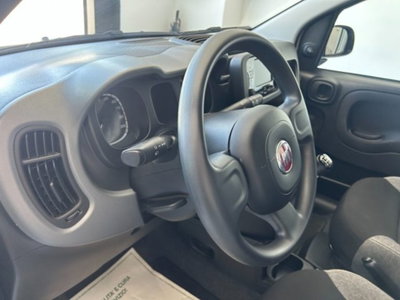 Fiat Panda 1.0 firefly hybrid s&s 70cv 5p.ti (18)