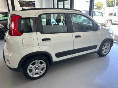 Fiat Panda 1.0 firefly hybrid s&s 70cv 5p.ti (4)