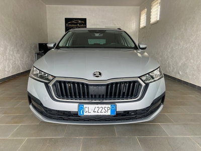 Skoda Octavia Station Wagon 2.0 TDI EVO SCR 150 CV DSG 4x4 Wagon Executive (2)