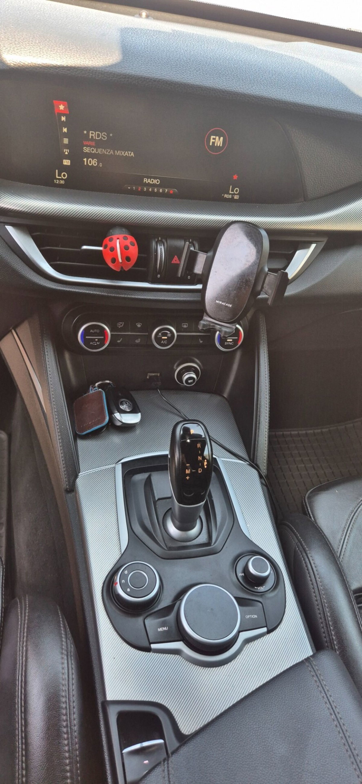 Alfa Romeo Stelvio Stelvio 2.2 Turbodiesel 210 CV AT8 Q4 Executive (10)
