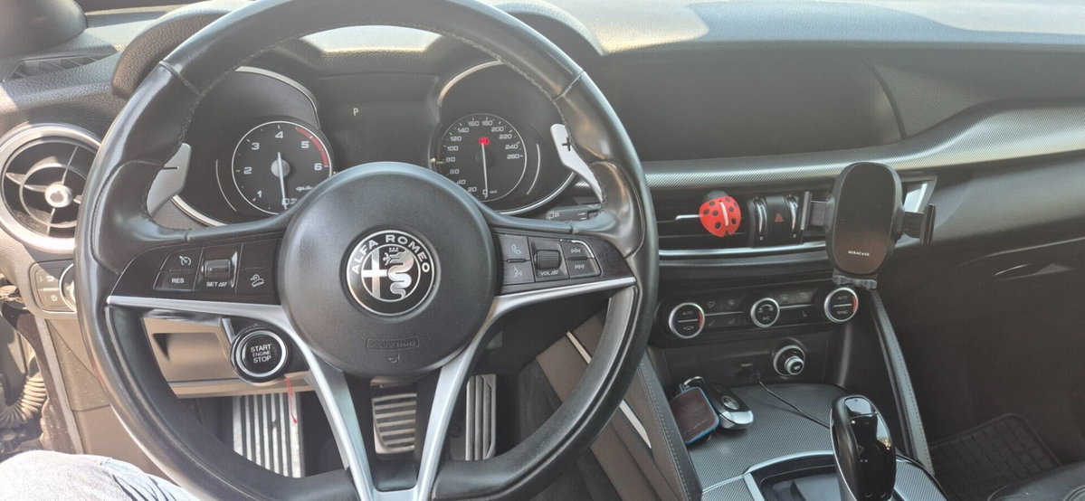 Alfa Romeo Stelvio Stelvio 2.2 Turbodiesel 210 CV AT8 Q4 Executive (12)