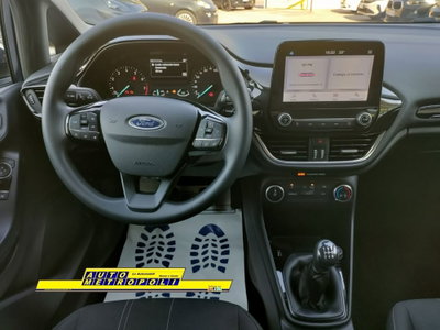 Ford Fiesta 1.1 85 CV 5 porte Business (12)