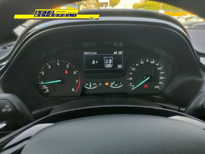Ford Fiesta 1.1 85 CV 5 porte Business (13)